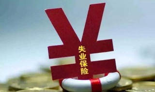 领失业补助金还能上社保吗 是怎么规定的