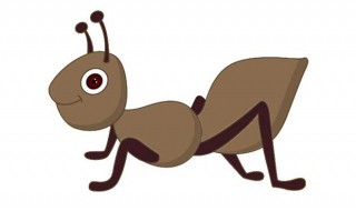 消灭小蚂蚁的方法 简单有效消灭蚂蚁的方法