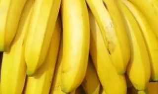 三高人群可不可以吃香蕉 可以吃香蕉