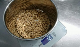豆豉的制作方法 豆豉怎么制作