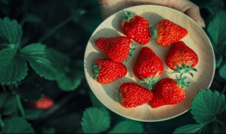 草莓酥怎么做好吃 草莓酥好吃的做法