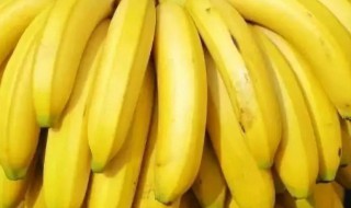 香蕉的禁忌人群 哪些人群不适合吃