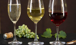 葡萄酒的酿酒方法 葡萄酒的酿酒方法是什么