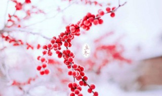 关于立冬的诗词 关于立冬的诗句有哪些