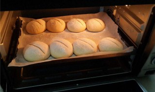 烤箱面包的做法 烤箱面包的做法介绍
