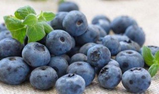 晚上吃蓝莓有什么好处 吃蓝莓的好处盘点