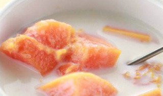 木瓜酸奶丰胸的做法 做木瓜酸奶的方法