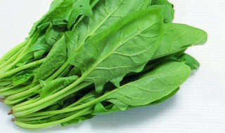 尿酸高能吃菠菜吗 不可以吃菠菜