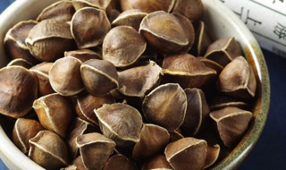 辣木籽的副作用 辣木籽的副作用简单介绍