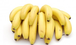 香蕉是寒性还是热性 香蕉是属于寒性还是热性