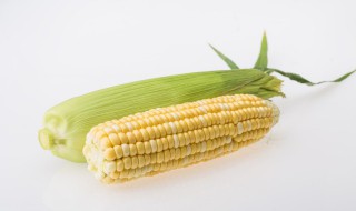 玉米需要蒸多久 制作蒸玉米的时间