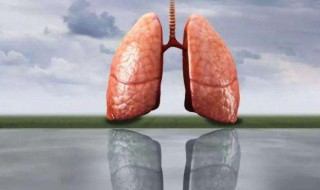 怎么样对肺好 如何保养肺