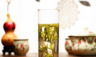 绿茶可以天天喝吗 绿茶能否天天喝