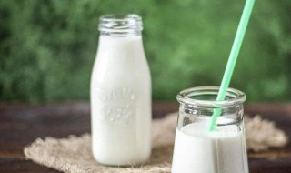 长期喝酸奶的好处和坏处 长期喝酸奶的好处和坏处介绍