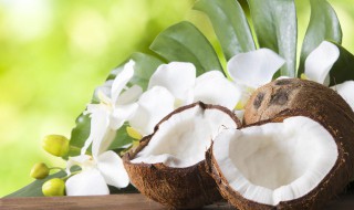 椰子的吃法 完整椰子应该怎么吃？