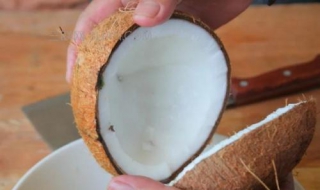 椰子怎么打开 打开椰子的方法