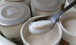自制酸奶的热量 怎么制作自制酸奶