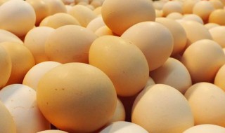醋泡鸡蛋的作用 泡鸡蛋用途介绍