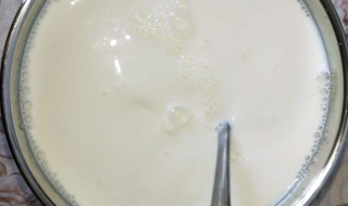 无糖酸奶怎么做 在家自制无糖酸奶