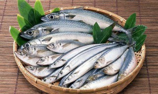 尿酸高不能吃什么鱼 尿酸高有什么不能吃的鱼