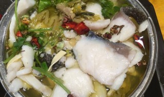 水煮鱼和酸菜鱼的区别 水煮鱼和酸菜鱼的区别是什么
