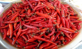 酸辣椒怎么腌制 酸辣椒腌制方法简述