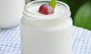 原味奶怎么做 原为酸奶做法