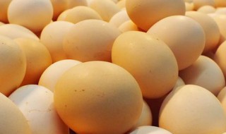 一天吃几个鸡蛋合适 每天吃3个左右合适