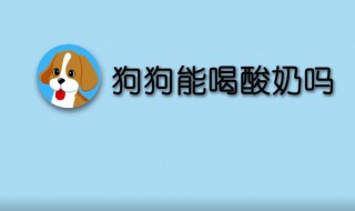 狗能喝酸奶吗 如果能喝要注意什么