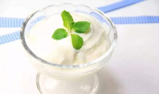 发酵乳和酸奶的区别 二者各有什么不同