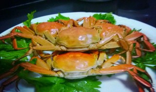 黄焖螃蟹怎么做 黄焖螃蟹做法