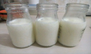 怎样做酸奶不用酸奶机 做酸奶方法