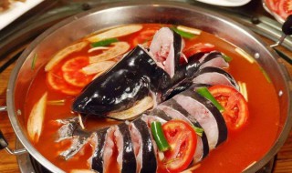 贵州红酸汤鱼的做法 贵州红酸汤鱼的做法介绍