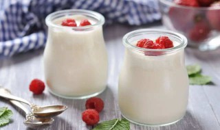 如何制做酸奶 喝酸奶有什么好处