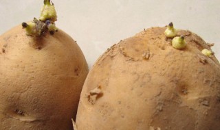 土豆是碱性还是酸性 土豆是碱性吗