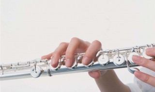 十大最简单的自学乐器 十大最简单的自学乐器有哪些