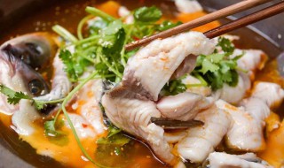 水煮鱼酸菜鱼的做法 水煮酸菜鱼的做法介绍