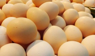 鸡蛋属于荤菜还是素菜 鸡蛋属于荤菜