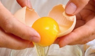 光有鸡蛋可以做什么菜 鸡蛋的做法鸡蛋菜谱