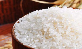 糯米和大米的区别 糯米和大米的区别简述