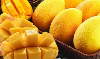 芒果有什么好处和坏处 芒果的好处和坏处分别是什么