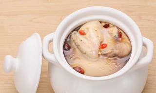 鸽子汤和什么炖最营养 鸽子和什么一起炖汤最有营养