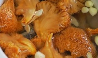 猴头菇怎么做好吃 猴头菇的做法与步骤