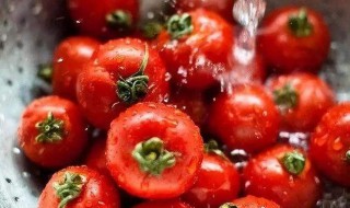 西红柿食用有哪些禁忌 一定要注意了