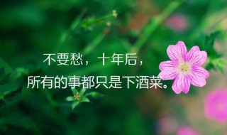 收到花的心情短语 是怎么表达的