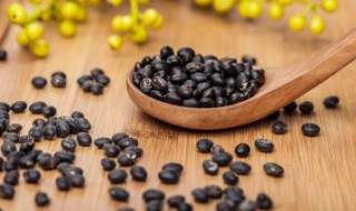 黑豆怎么吃补肾效果最好 黑豆吃补肾效果最好的方法是什么