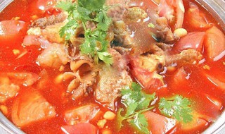 西红柿牛腩汤的做法家常做法 西红柿牛腩汤做法