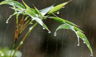 关于雨的唯美诗句 关于雨的唯美诗句有哪些