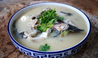 简单的清炖鱼汤做法 清炖鱼汤做法介绍