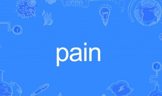 pain什么意思 pain单词介绍